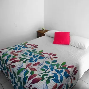 Cocos , Cancun Mexico